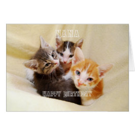 Oma, Warme en Zachte Kitten Trio Gefeliciteerd