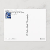 Omaha, NE Briefkaart (Achterkant)