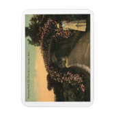 Omaha Nebraska 1913 Hanscom Park Vintage Magneet (Verticaal)