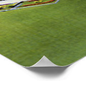 Omaha Nebraska Ak Sar Ben Race Track en Coliseum Poster (Hoek)