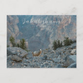 Oman Jabal Shams briefkaart (Voorkant)