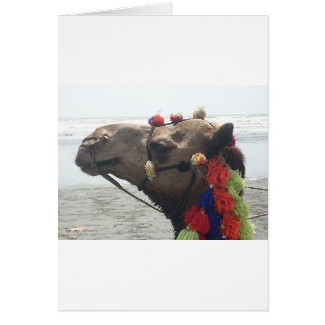 Oman! Muscat (Voorkant)