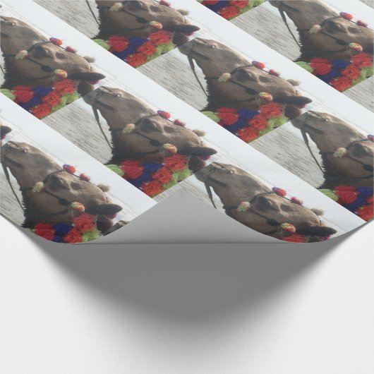 Oman! Muscat Cadeaupapier (Hoek)