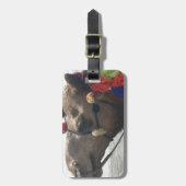 Oman Muscat Camel Fotokunst Print Bagagelabel (Voorkant verticaal)