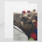 Oman Muscat Camel Fotokunst Print Briefpapier (Voorkant / Achterkant)