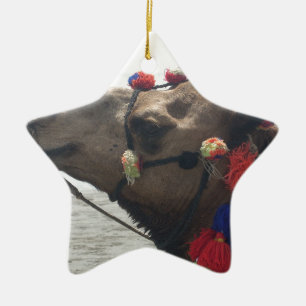 Oman Muscat Camel Fotokunst Print Keramisch Ornament