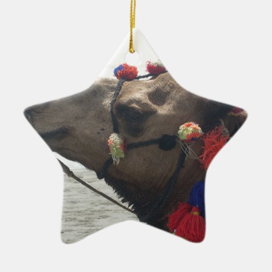 Oman Muscat Camel Fotokunst Print Keramisch Ornament (Voorkant)