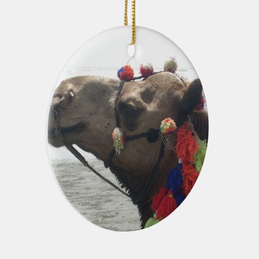 Oman Muscat Camel Fotokunst Print Keramisch Ornament (Rechts)