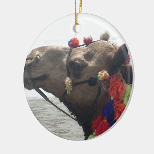 Oman Muscat Camel Fotokunst Print Keramisch Ornament (Links)