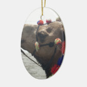 Oman Muscat Camel Fotokunst Print Keramisch Ornament (Links)