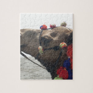 Oman Muscat Camel Fotokunst Print Legpuzzel