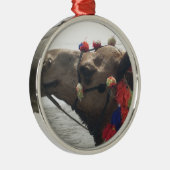 Oman Muscat Camel Fotokunst Print Metalen Ornament (Rechts)