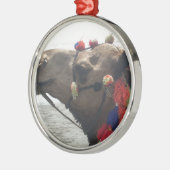 Oman Muscat Camel Fotokunst Print Metalen Ornament (Links)