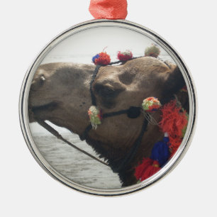 Oman Muscat Camel Fotokunst Print Metalen Ornament