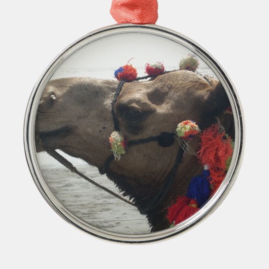 Oman Muscat Camel Fotokunst Print Metalen Ornament (Voorkant)