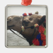 Oman Muscat Camel Fotokunst Print Metalen Ornament (Voorkant)