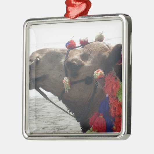 Oman Muscat Camel Fotokunst Print Metalen Ornament (Links)