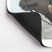 Oman Muscat Camel Fotokunst Print Muismat (Hoek)