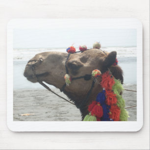 Oman Muscat Camel Fotokunst Print Muismat