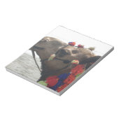 Oman Muscat Camel Fotokunst Print Notitieblok (Linkerzijde)