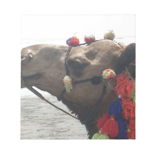 Oman Muscat Camel Fotokunst Print Notitieblok (Voorkant)