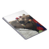 Oman Muscat Camel Fotokunst Print Notitieboek (Rechterzijde)