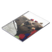 Oman Muscat Camel Fotokunst Print Notitieboek (Linkerzijde)