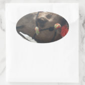Oman Muscat Camel Fotokunst Print Ovale Sticker (Tas)