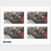 Oman Muscat Camel Fotokunst Print Rechthoekige Sticker (Vel)