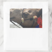 Oman Muscat Camel Fotokunst Print Rechthoekige Sticker (Tas)