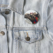 Oman Muscat Camel Fotokunst Print Ronde Button 5,7 Cm (In situ)