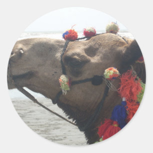 Oman Muscat Camel Fotokunst Print Ronde Sticker