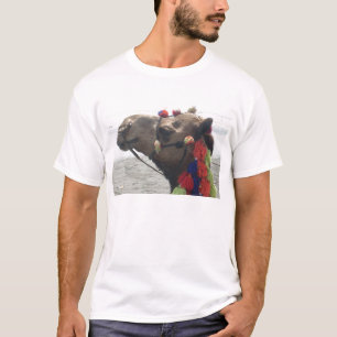 Oman Muscat Camel Fotokunst Print T-shirt