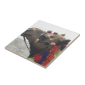 Oman Muscat Camel Fotokunst Print Tegeltje (Zijkant)