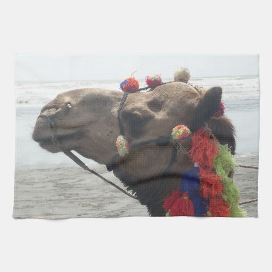 Oman Muscat Camel Fotokunst Print Theedoek (Horizontaal)