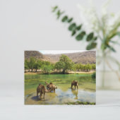 Oman, Wadi Darbat Briefkaart (Staand voorkant)