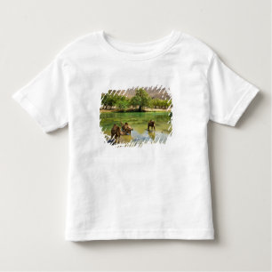 Oman, Wadi darbat Kinder Shirts
