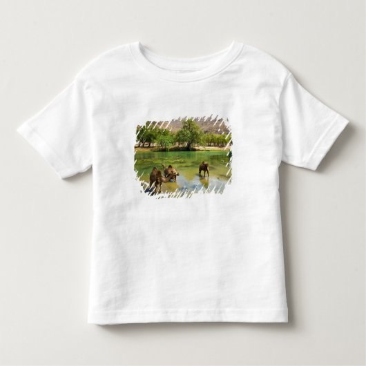 Oman, Wadi darbat Kinder Shirts (Voorkant)