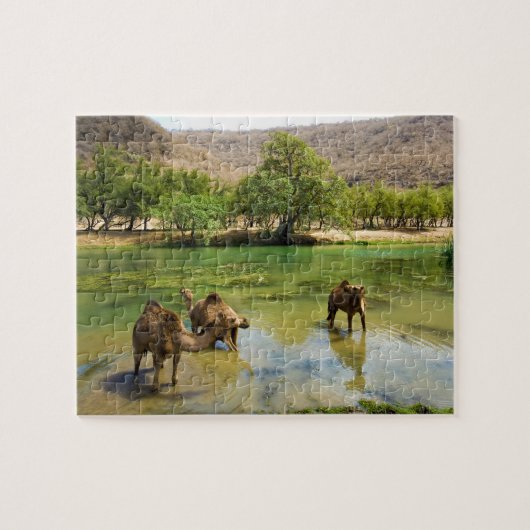 Oman, Wadi Darbat Legpuzzel (Horizontaal)