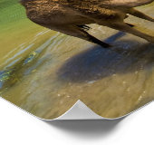 Oman, Wadi Darbat Poster (Hoek)