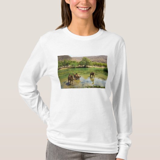 Oman, Wadi Darbat T-shirt (Voorkant)