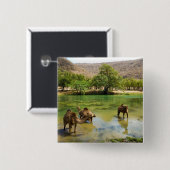 Oman, Wadi darbat Vierkante Button 5,1 Cm (Voorkant /achterkant)