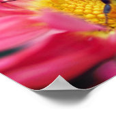 Omarm Natuur bij op madeliefje Inspirerend Poster (Hoek)