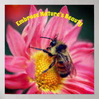 Omarm Natuur bij op madeliefje Inspirerend