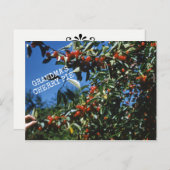 Oma's Cherry Pie Recept Briefkaart (Voorkant / Achterkant)