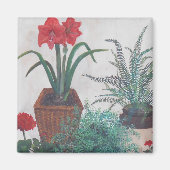 Oma's Planten Magneet (Voorkant)