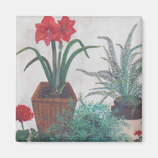 Oma's Planten Magneet