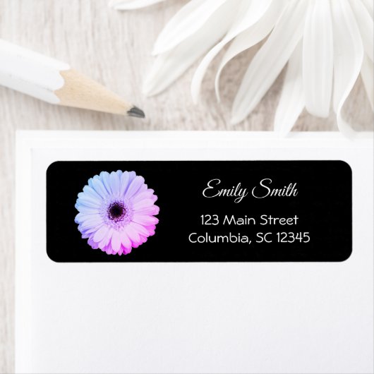 Ombre Gerbera Daisy on Black | Retouradres Etiket (Insitu)