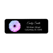 Ombre Gerbera Daisy on Black | Retouradres Etiket (Voorkant)