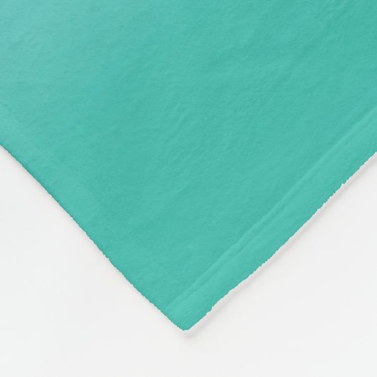 OMBRE MINT FLEECE BLANKET DEKEN (Hoek)
